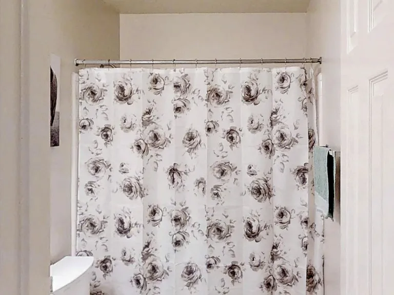 Tub / Shower Combo