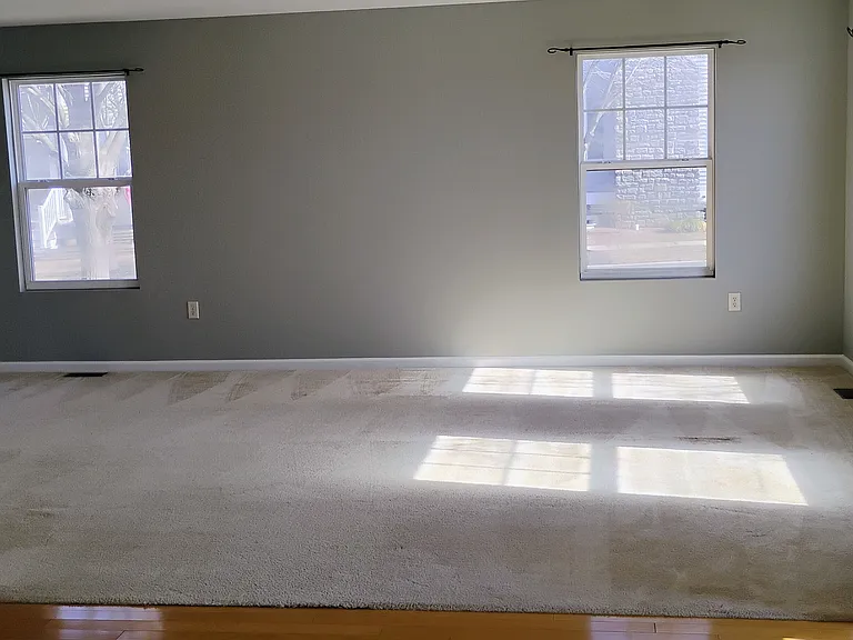 Bright living room - carpet shampooed, steam washed