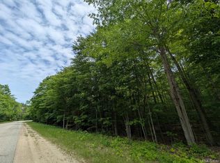 PARCEL W Smith Lake Dr #B, Manistique, MI 49854