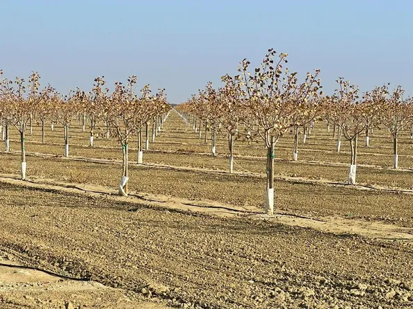 24927 Mount Whitney Ave, Five Points, CA 93624