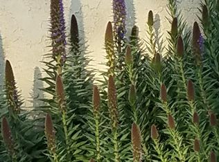 100 Quail Ct, Hercules, CA 94547