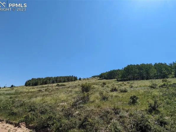 1960 Troy Dr, Cripple Creek, CO 80813