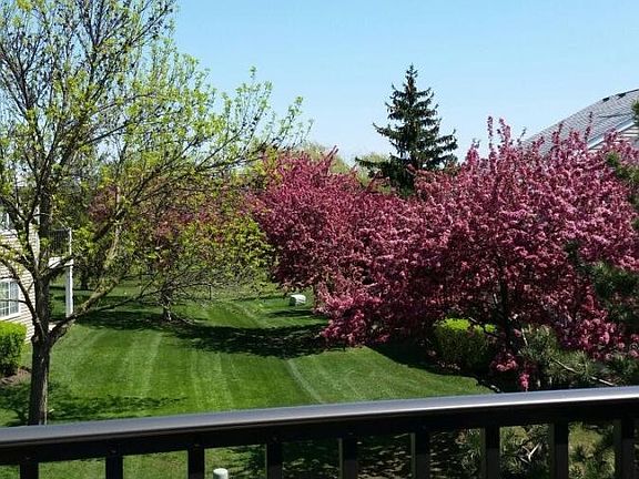 Great view of lawn and golf course from balcony