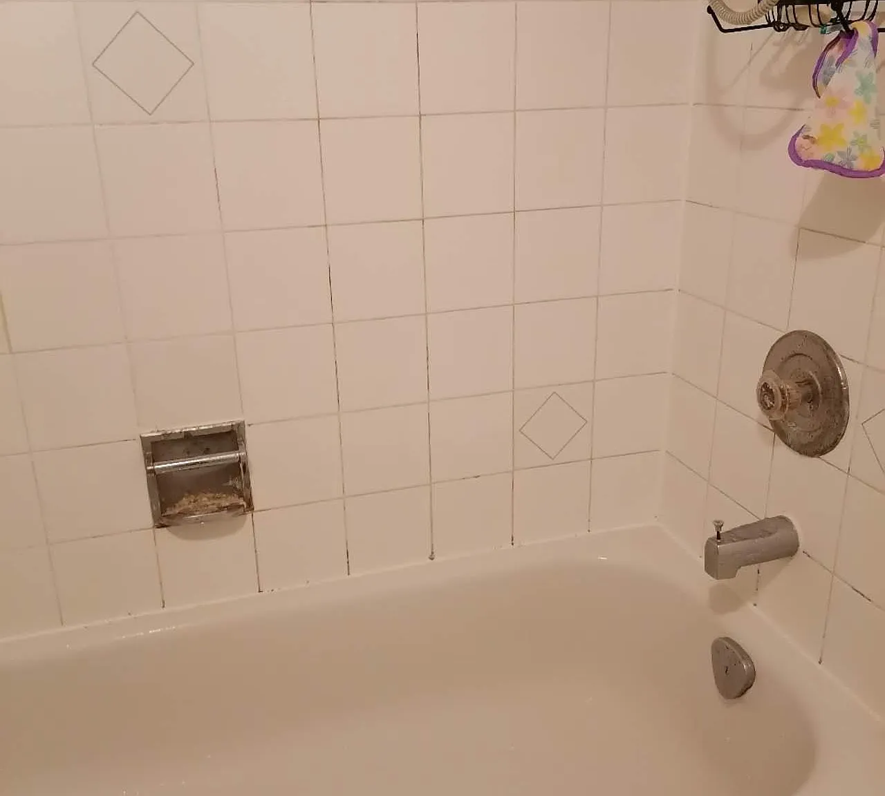1 bed, $800 — Photo 4