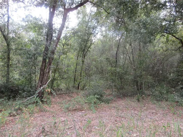 SE 1st Ln Lot 53, Silver Springs, FL 34488
