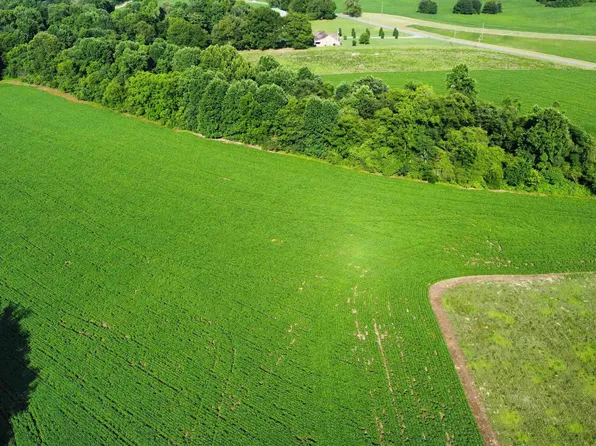 14.74 Lowery Rd NE, Arab, AL 35016