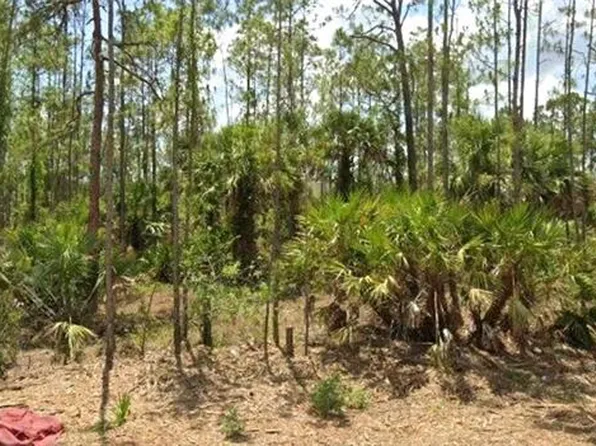 1857 Octavia ST, LEHIGH ACRES, FL 33972