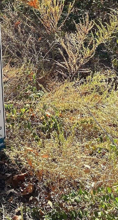 1st image of Ashford Ln