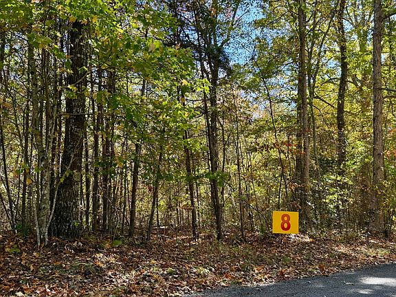 2nd image of 0 Owl Hollow Rd Lot 8