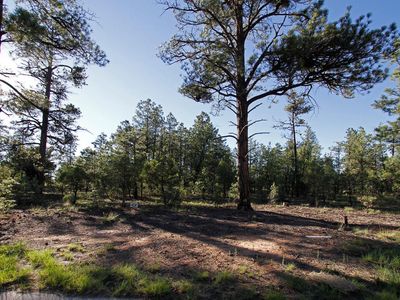 4609 Mountain Gate Cir, Lakeside, AZ, 85929