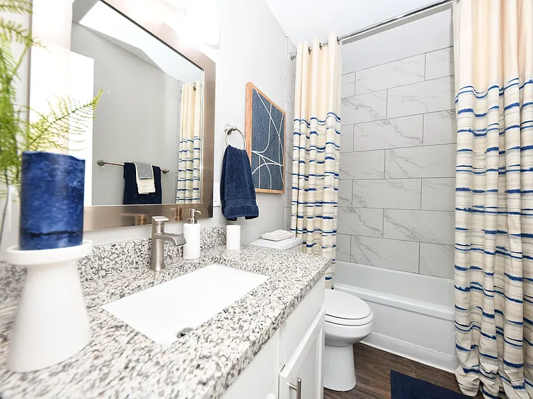 Bathroom + Granite Counters