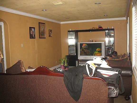 LARGE LIVING ROOM