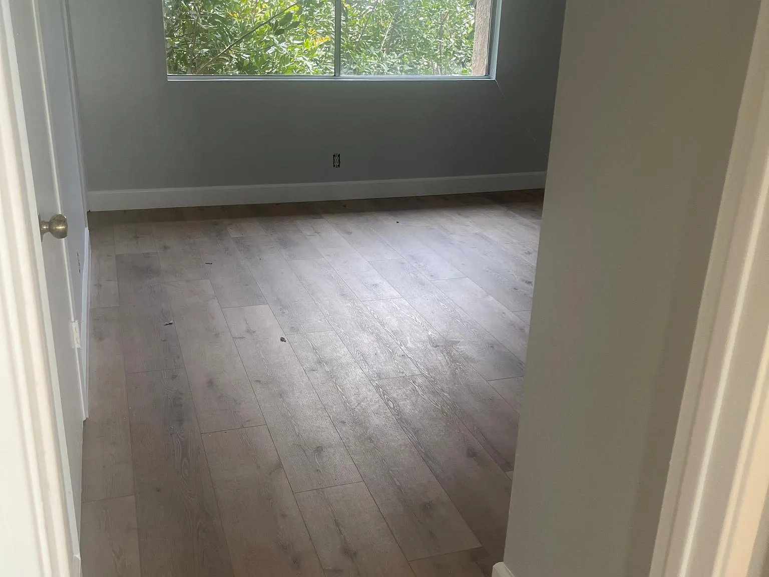 3 bed, 1285 sqft, $4,000 — Photo 3