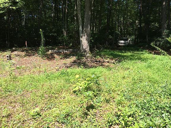 4th image of 445 Swiss Pine Lake Dr