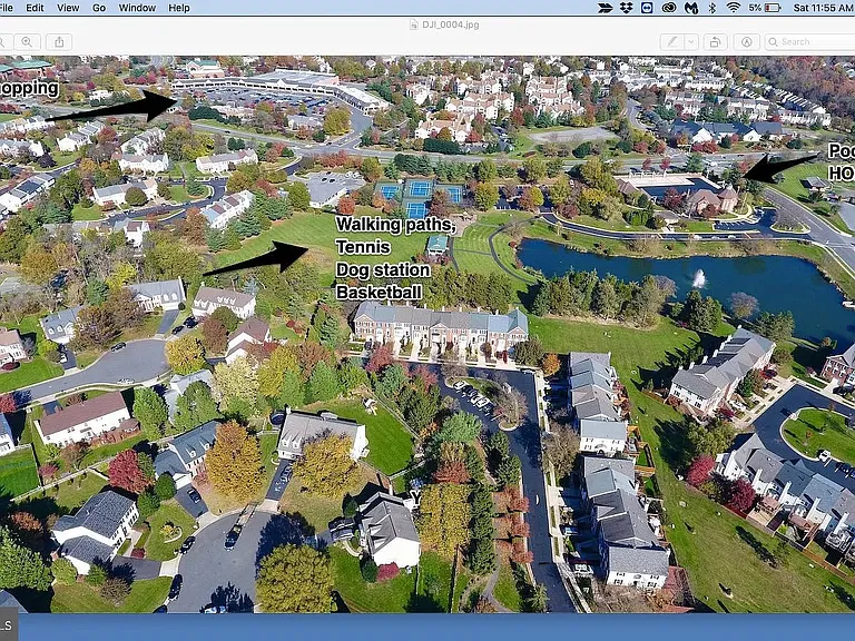 43290 Swampfox Ct — Photo 30