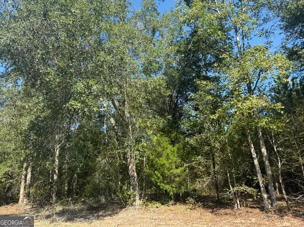 1 216th Hwy, Arlington, GA 39813