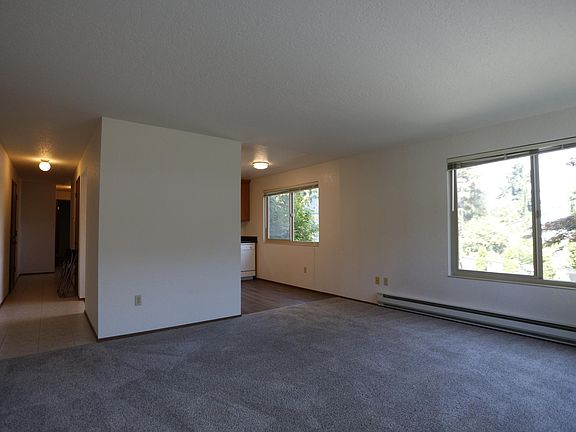 LARGE LIVING ROOM & AND NATURAL LIGHT
