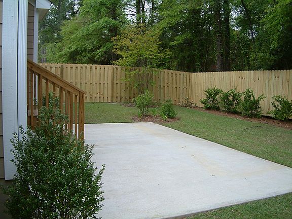 View of the backyard