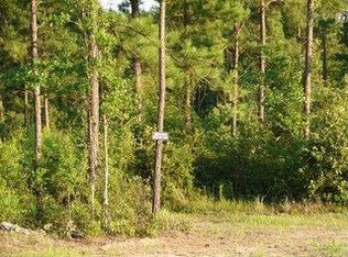 128 Runs Crossing Dr, Springfield, GA 31329