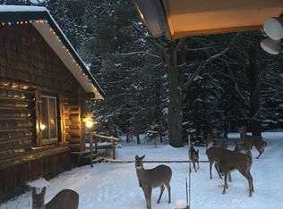 1699 Spring Meadow Ln, Eagle River, WI 54521