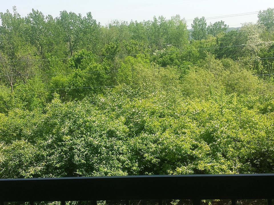 1st image of 5310 Aster Park Dr APT 1208