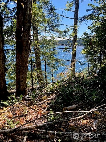 3rd image of 440 W Cushman Ridge Drive