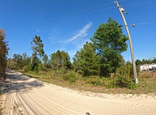 43718 Cooter Pond Rd, Deland, FL 32720