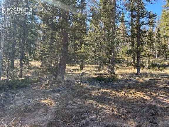 5th image of 228 Alpine Dr