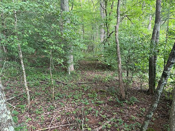 4th image of Rough Gravel Rd Lot 5/6