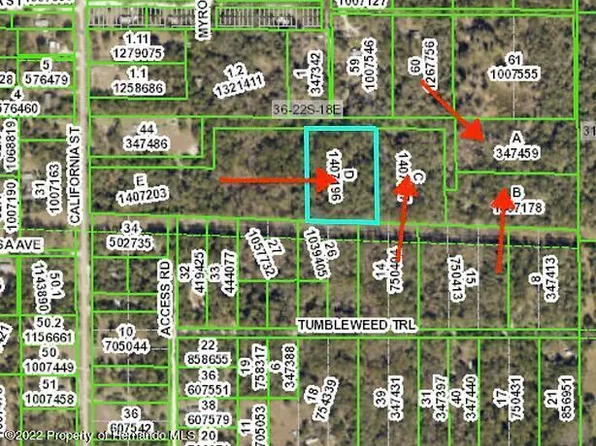 0 Texas Trl, Brooksville, FL 34604