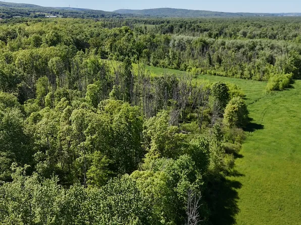 V/l Dredge Ditch Rd Lot Wp001, Conewango Valley, NY 14726