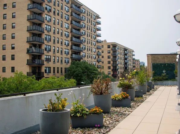 100 Prospect