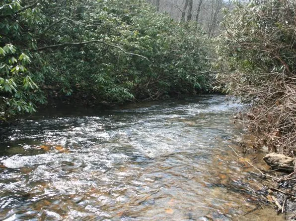 0 Jeb Stuart Hwy, Meadows Of Dan, VA 24120