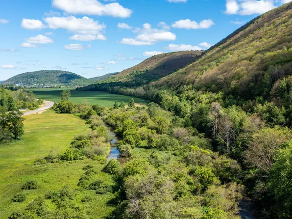 714 Ennis Mountain Rd, Cayuta, NY 14824