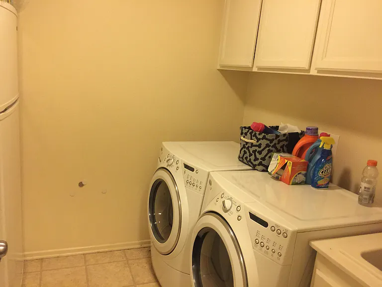 16628 China Berry Ct — Photo 8
