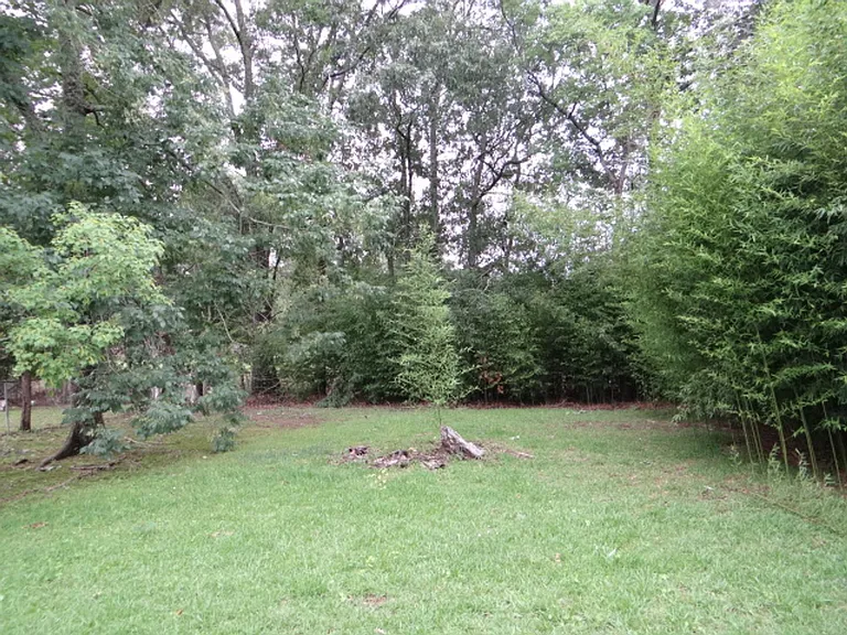 1136 Boreas Dr — Photo 12