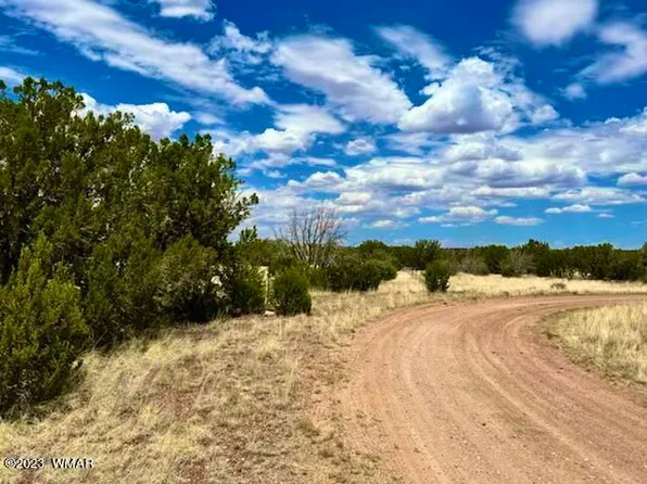 8651 Sitgreaves Pl, Show Low, AZ 85901