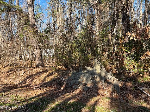 5th image of Lot #49&50 Cottonwood Drive