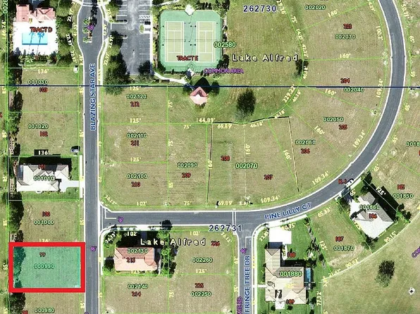 167 Blazing Star Ave, Lake Alfred, FL 33850