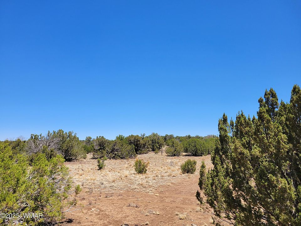 2nd image of 8442 Lake Ridge Rd