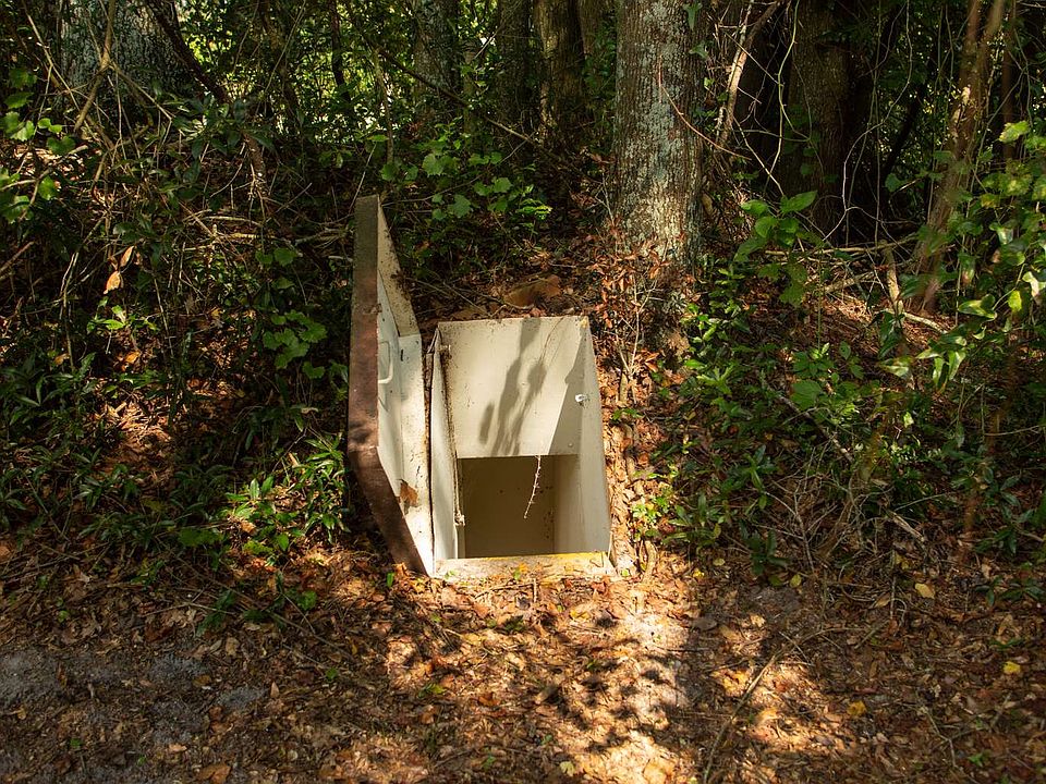 258 SW Jamestown Way, Mayo, FL 32066 Zillow