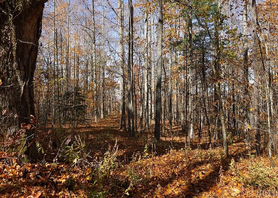 2nd image of na Silly Ridge Road