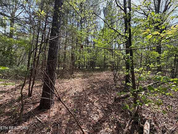 5th image of 7836 Dry Valley Rd