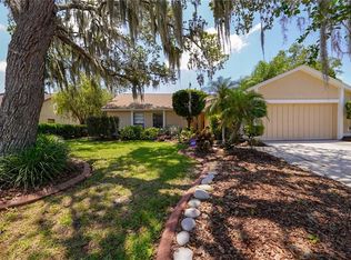 703 Brinton Ct, Brandon, FL 33511