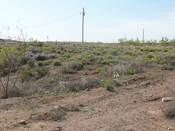 3rd image of S Shore Village 1 Lot 38