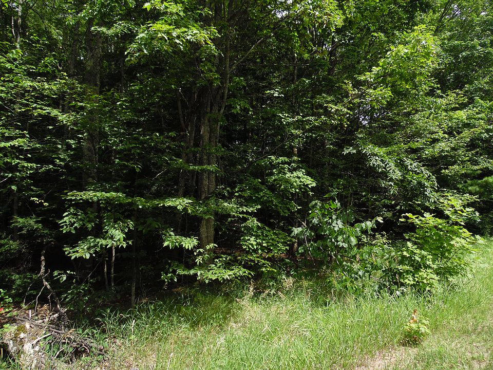 2nd image of 2100 Deepwoods Dr