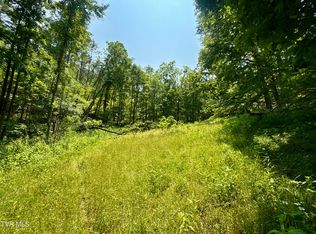 99/AC Copperhead Hollow Rd, Mountain City, TN 37683