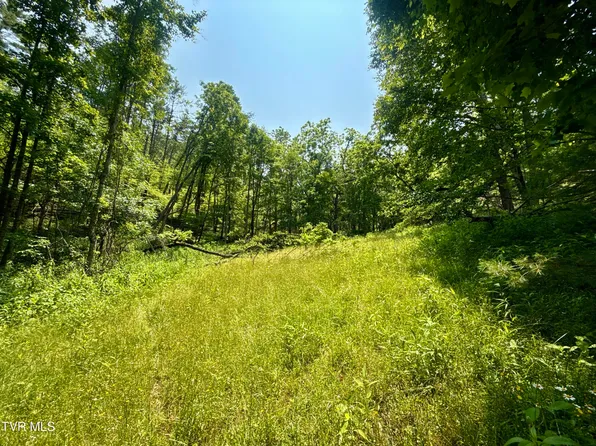 99/AC Copperhead Hollow Rd, Mountain City, TN 37683