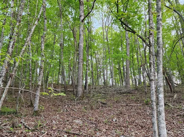 4622 Parker Loop Rd, Birchwood, TN 37308