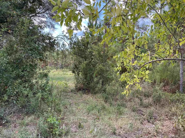 Tbd S Cr 53, Madison, FL 32340
